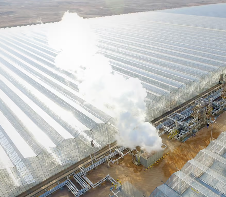 Concentrated Solar Steam