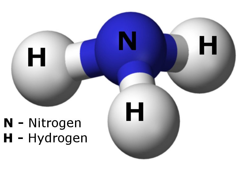 Ammonia is key to a hydrogen economy