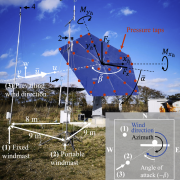 Full-scale investigation of heliostat aerodynamics through wind and pressure measurements at a pentagonal heliostat