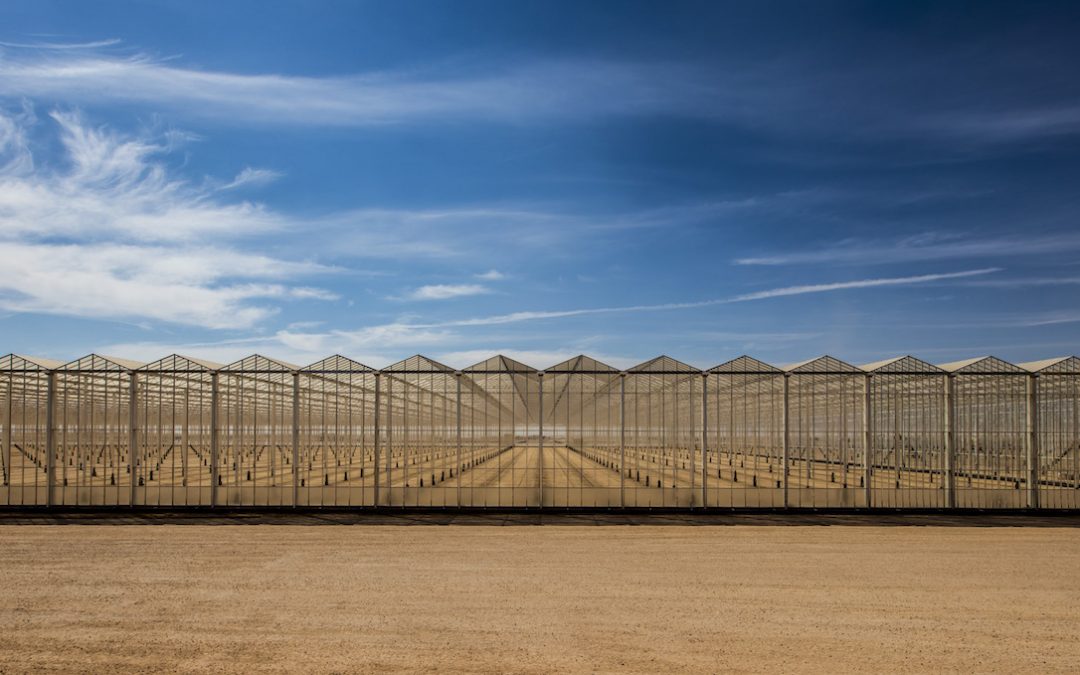 Glasspoint industrial heat greenhouses EOR