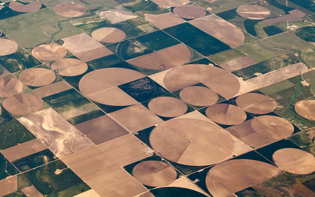 NASA view square mile farmlands